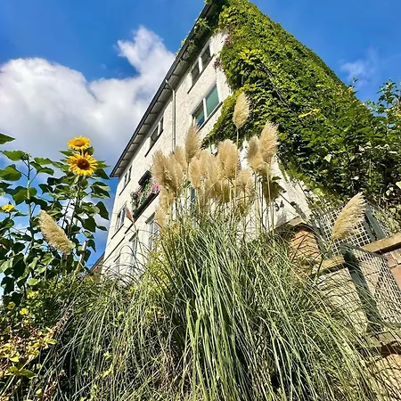 Am Weinberg Gaestezimmer Guest house 3*