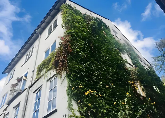 Am Weinberg Gaestezimmer Penzion Kassel